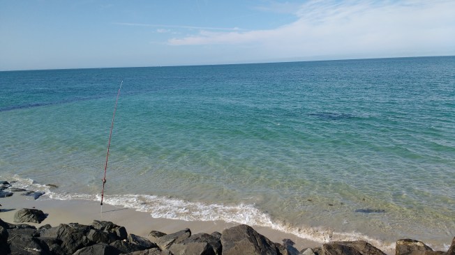 IMG_20160726_105612783