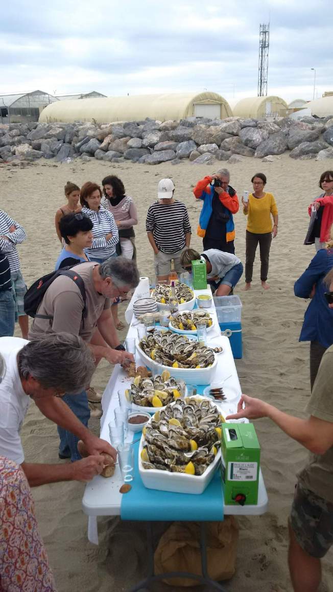 img_20161002_122836-copie