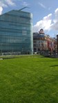 IMG_20170402_130356492
